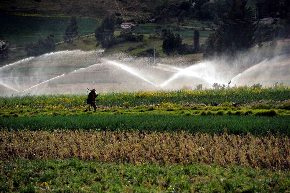 La adjudicación de baldíos es una de las principales herramientas del Ministerio de Agricultura para entregar tierra a campesinos. El Incoder es la entidad encargada del tema . / Andrés Torres