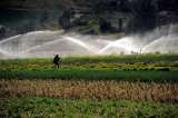 Los líos para adjudicar baldíos a agricultores