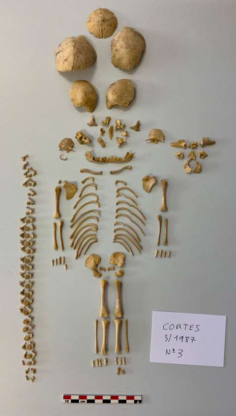Identifican síndrome de Down en bebés de hace 2.600 años a través de su ADN