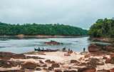 El lucrativo mercado de bonos de carbono, según los indígenas del Amazonas