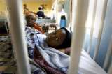 Malaria decrece en América y amenaza a 2 mil millones de personas en Asia Pacífico