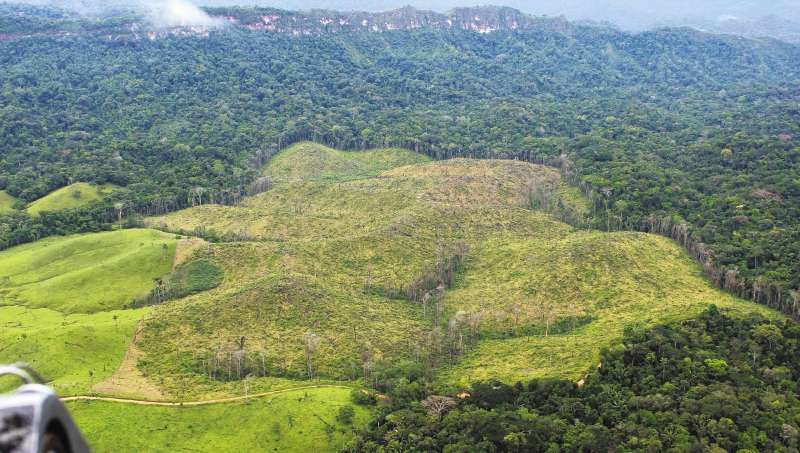 El Parque Nacional Natural Cordillera de Los Picachos es el cuarto parque más deforestado del país. / Fiscalía - Dijín