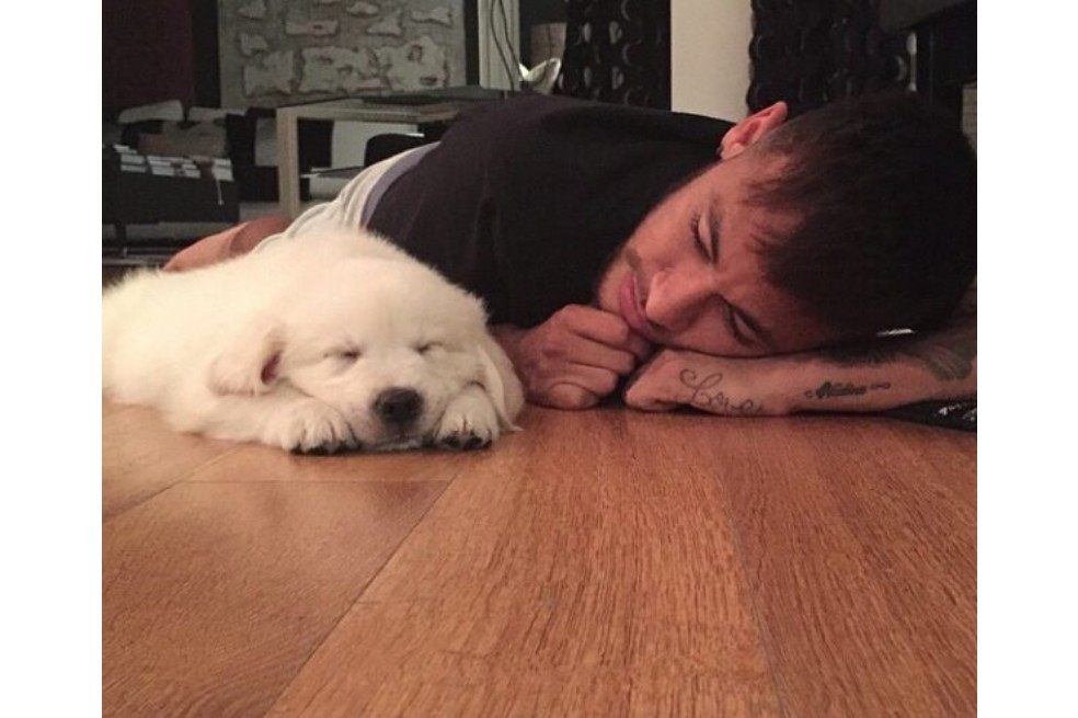 Él es Poker, uno de los golden retriever que acompañan a Neymar en cualquier momento.