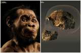 Descubren un Homo Naledi, un nuevo primo lejano del hombre