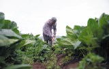 Expoagrofuturo: un encuentro para fortalecer el campo colombiano