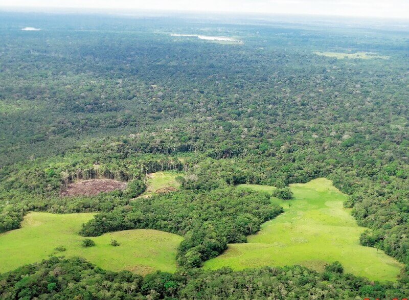 En el caso colombiano, la Amazonia es la región más deforestada. / Instituto Sinchi