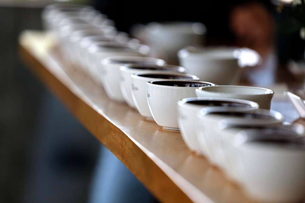 ACOMPAÑA CRÓNICA: PANAMÁ CAFÉ AMDEP8758. BOQUETE (PANAMÁ), 21/07/2025.- Fotografía de tazas de café servidas durante una cata, el 17 de julio de 2025 en la Hacienda La Esmeralda, en el pequeño pueblo de Boquete (Panamá). En medio del auge mundial del ecoturismo, Panamá celebra un singular evento que permite asomarse al complejo mundo del café de lujo en el país centroamericano. En manos de familias de terratenientes desde hace casi un siglo, ahora cuenta con un nuevo enfoque más abierto al público. EFE/Bienvenido Velasco