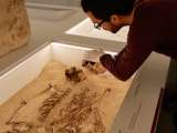 Científicos descubren el caso de una enfermedad rara en individuos de hace 12.000 años