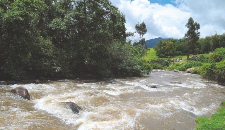 Las precisiones ambientales que le deben hacer al POT de Bogotá