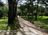 Fotógrafa fue golpeada por ladrones que intentaron robarla en el Parque El Virrey
