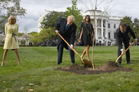 El triste final del ‘árbol de la amistad’ que Trump y Macron plantaron en la Casa Blanca