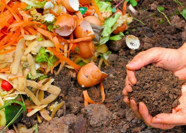 Revive tu huerta en casa usando este abono casero que no tiene complicaciones ni costos elevados y así cuidar con amor tus plantas.