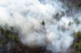 La contaminación del aire por incendios ha causado 1.5 millones de muertes