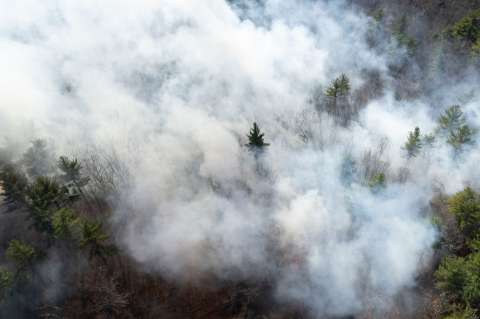 La contaminación del aire por incendios ha causado 1.5 millones de muertes