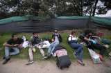 Iglesia católica colombiana respalda estatuto de protección temporal de migrantes venezolanos