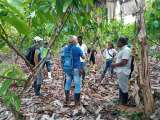 Innovación en la producción cacaotera y láctea a través del Programa Rutas PDET