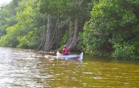 La selva ignorada de Colombia que puede frenar el cambio climático
