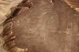 Un camión daña las milenarias Líneas de Nazca en Perú
