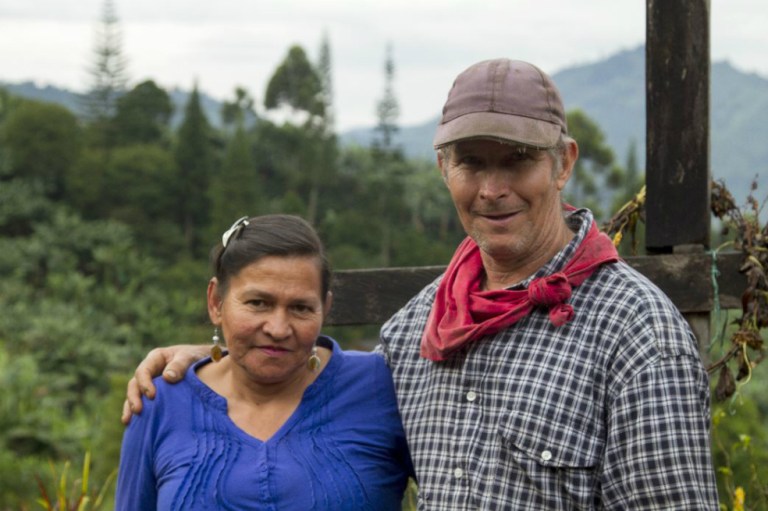 El café y las montañas
