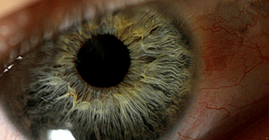 Diez tips para evitar los ojos cansados