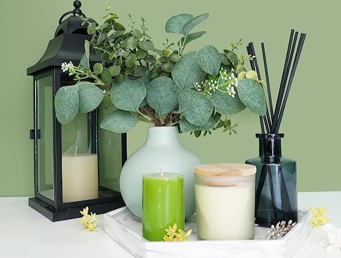Aprende a usar el eucalipto en tu casa con estos 10 usos que te facilitaran varias tareas del hogar. Descubre sus beneficios y todo lo que hay detrás de esta milenaria planta.