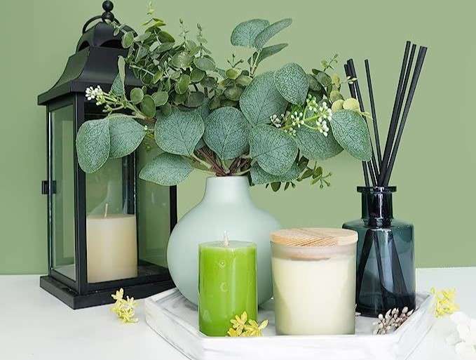 Aprende a usar el eucalipto en tu casa con estos 10 usos que te facilitaran varias tareas del hogar. Descubre sus beneficios y todo lo que hay detrás de esta milenaria planta.