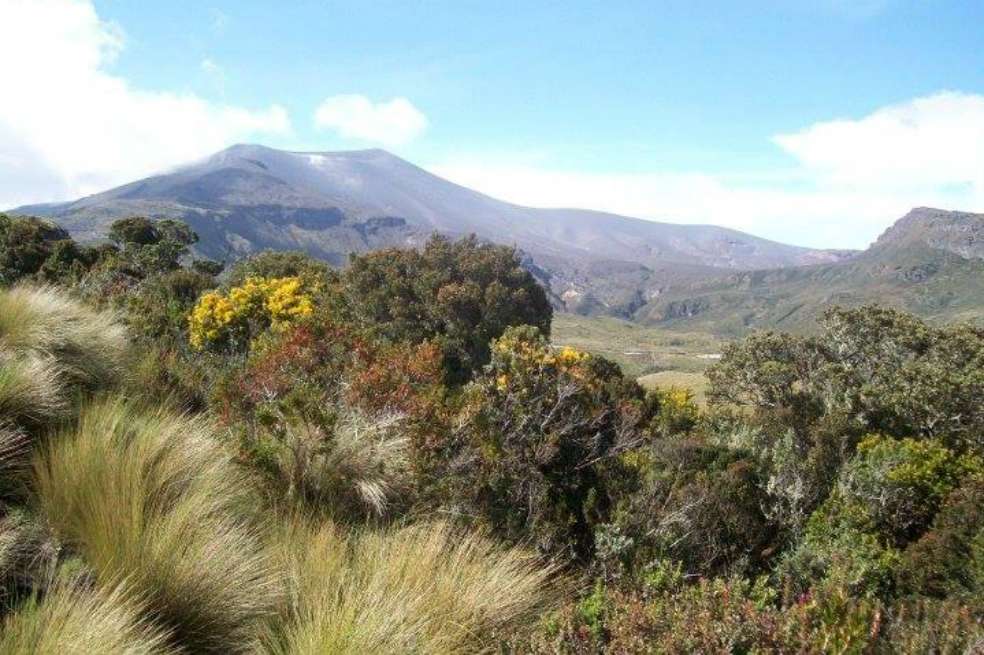 En Cauca el turismo es una de las apuestas productivas que hacen parte del Programa de Competitividad Estratégica Territorial. / Red Adelco