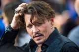 Johnny Depp no logra vender su granja y tiene que subastarla