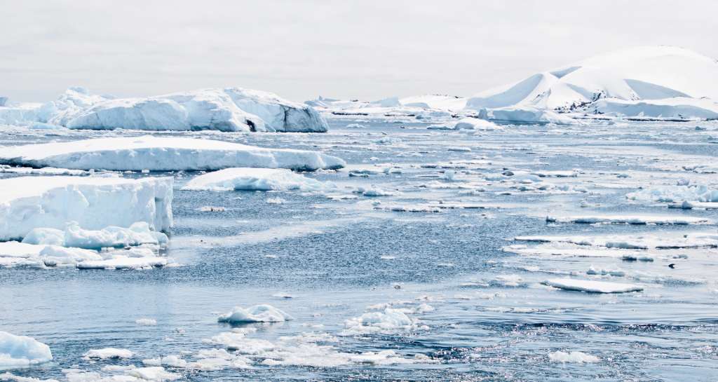 Iceberg.