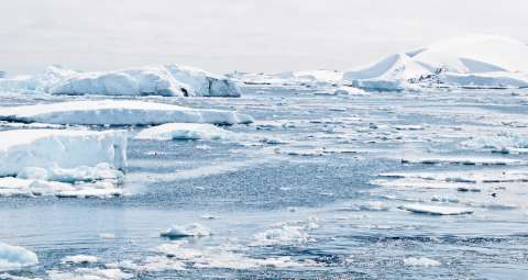 En 2050 el 50 % del mundo sufrirá escasez de agua, ¿de dónde la sacaremos?
