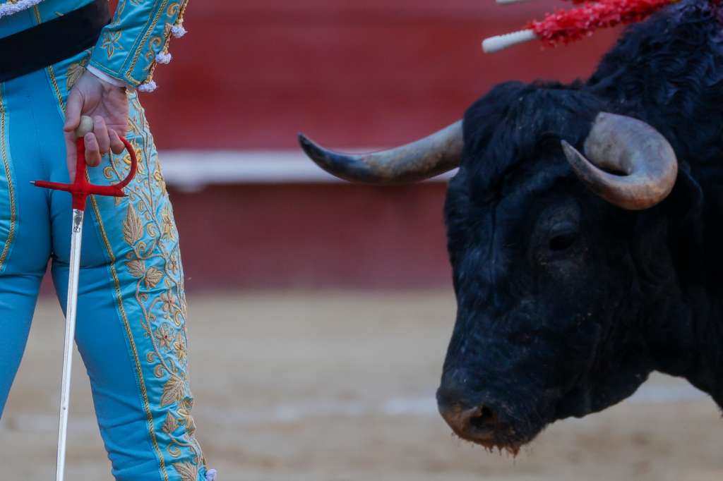 GRAFCVA2291. VALENCIA, 19/03/2023.- El diestro, Daniel Luque, se enfrenta a su primer astado durante la corrida de toros de la Feria de Fallas que realiza mano a mano con Paco Ureña, con toros de Victorino Martín. EFE/Juan Carlos Cárdenas