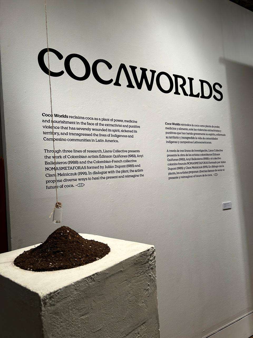 La exposición agrupa tres propuestas artísticas sobre tres reflexiones alrededor de la planta de coca.