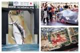 Japón no descarta seguir cazando ballenas