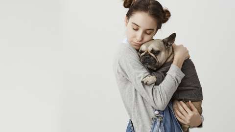¿Cuántas mascotas puede tener una persona en su casa?