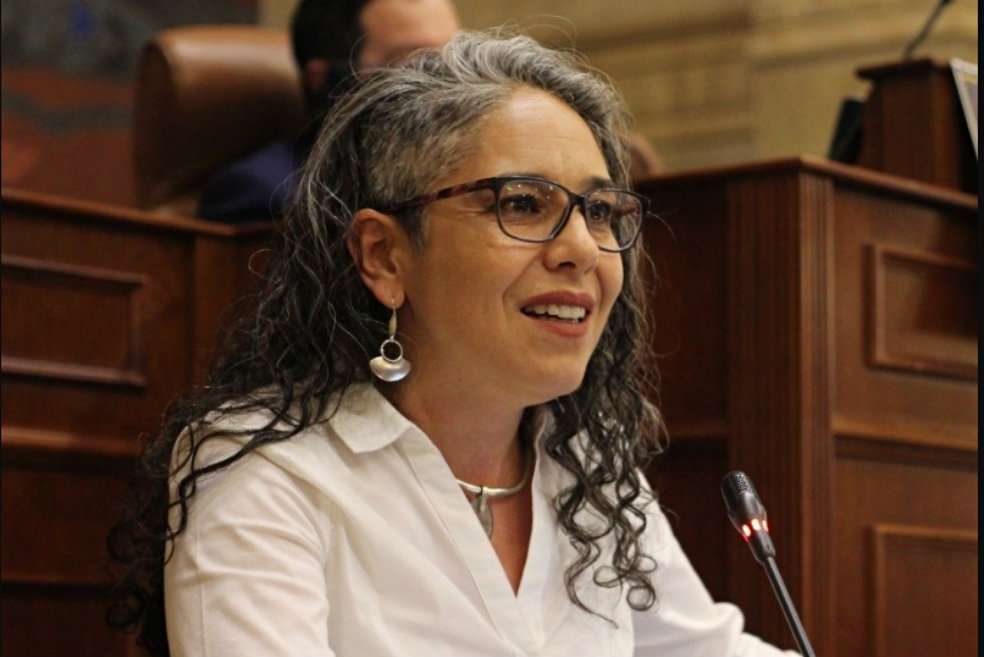 La representante María José Pizarro levantó la plenaria de la Cámara y congeló así la votación de la reforma tributaria.  / Vía cuenta de Twitter de la representante María José Pizarro.