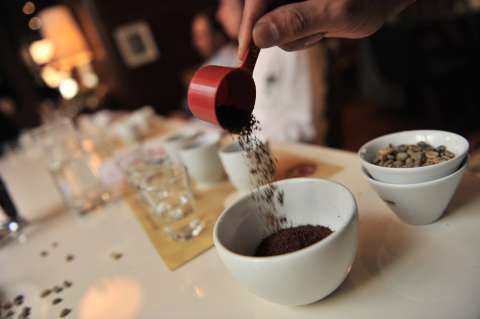 El cambio climático impactaría el precio y sabor del café