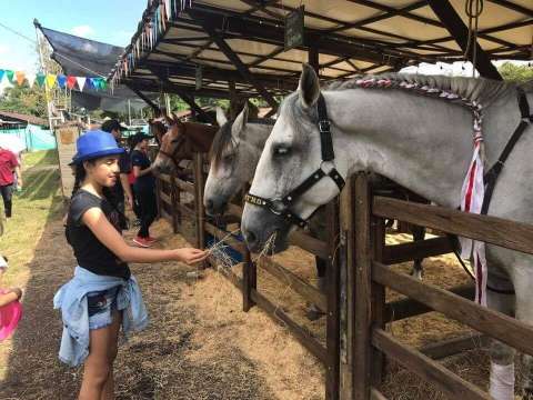 Más de 1.000 animales en exhibición, el atractivo de Expomalocas