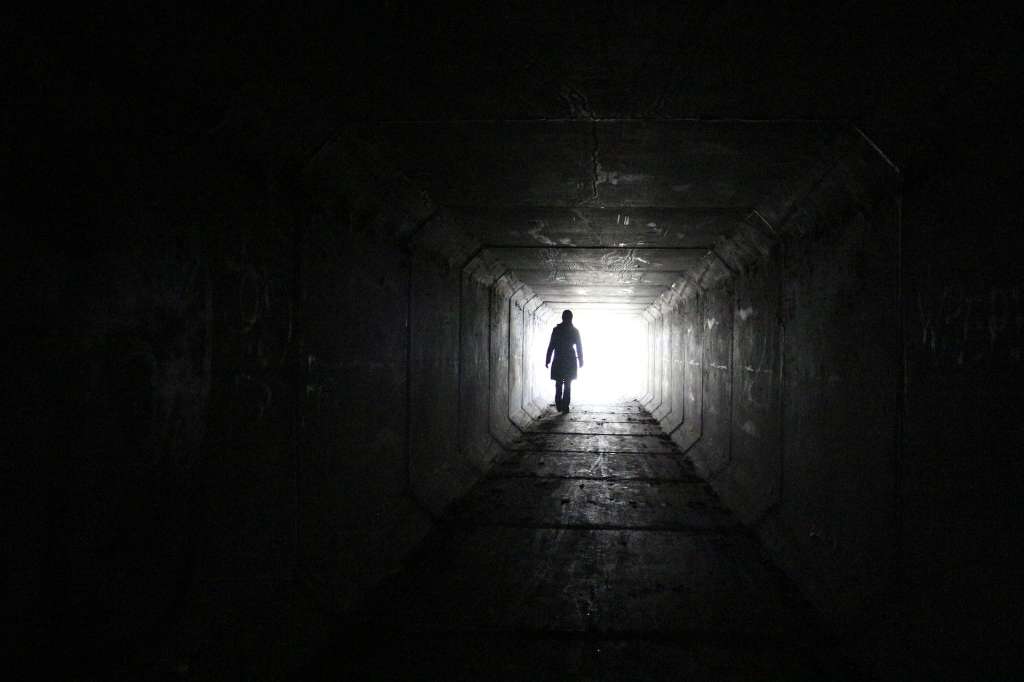 Según estudios neurofisiológicos, la luz que se ve antes de morir se da porque la última zona que muere por la anoxia es el surco calcarino, donde están las cortezas de procesamiento visual, es decir, al llegarles poco o nada de oxígeno, estas neuronas comienzan a descargar masivamente potenciales de acción, lo que se “interpreta” como si estuviéramos en un ambiente muy luminoso.