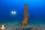 Hallan un ancla de época romana del año 253 a.C. en el fondo del mar en el sur de Italia