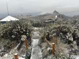 Proponen peaje ambiental y pico y placa para el turismo en Parque Los Nevados