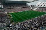 Brasil investiga insultos homofóbicos en sus principales estadios