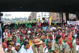 25 años de lucha por los derechos de los pueblos indígenas