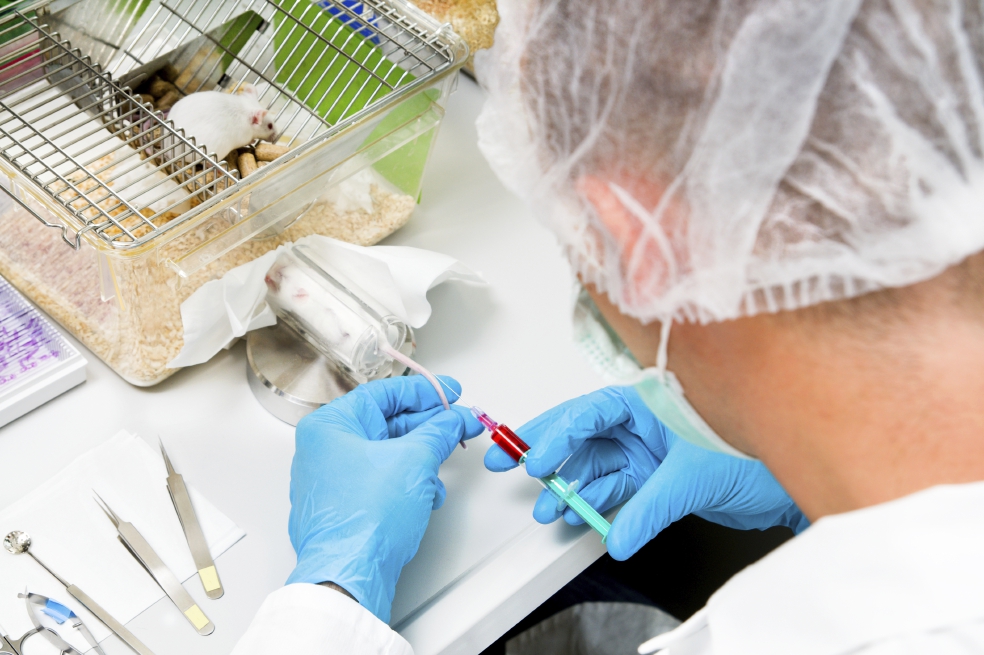 Según Losada, el propósito del proyecto de ley es fortalecer otras formas de hacer experimentación sin animales.