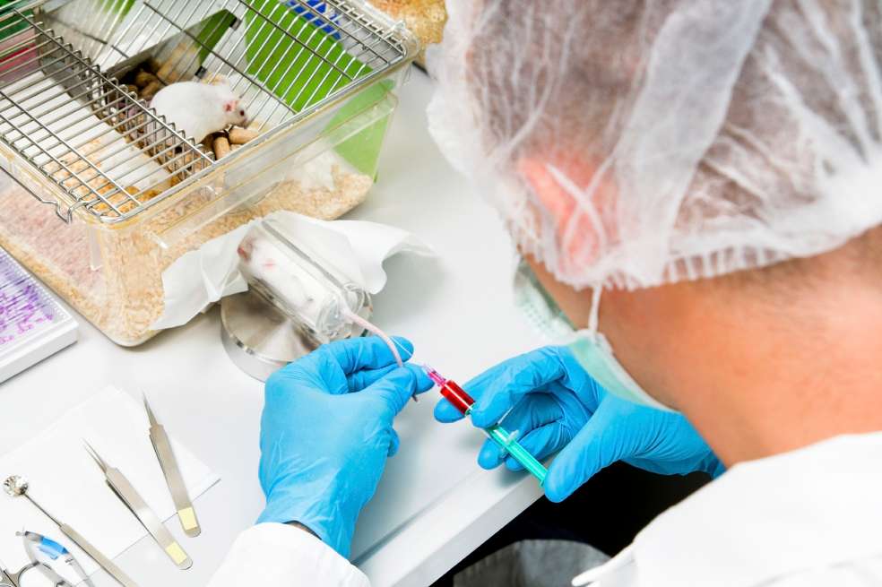 Según Losada, el propósito del proyecto de ley es fortalecer otras formas de hacer experimentación sin animales.