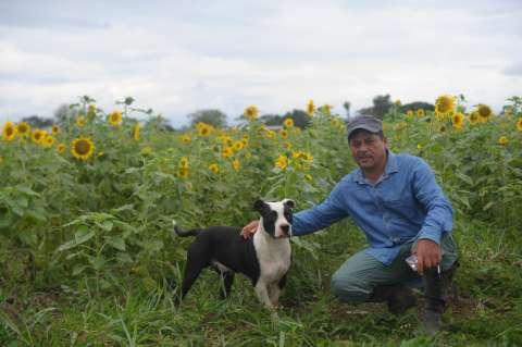 Romaña pide aplazamiento para comparecer ante la JEP