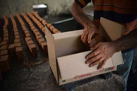Crean mercado campesino virtual para evitar pérdidas por bloqueos