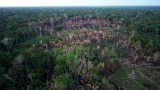 Acuerdo de París: ¿cómo va Colombia ante el cambio climático?