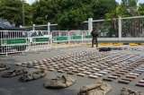 Incautan 600 kilos de cocaína en Cartagena