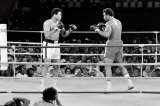 Ya pasaron 50 años de la “pelea del siglo” entre Muhammad Ali y George Foreman