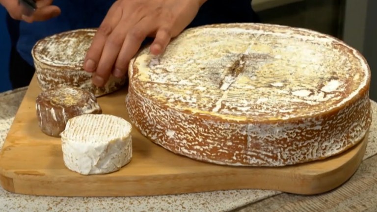 Receta vegana: Prepara este delicioso queso de avena